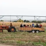 Halloween Land Corn Maze at Twin Oaks Farms photo