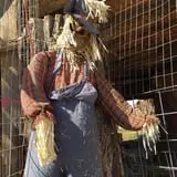 Halloween Land Corn Maze at Twin Oaks Farms photo
