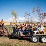 Halloween Land Corn Maze at Twin Oaks Farms photo