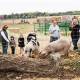 Halloween Land Corn Maze at Twin Oaks Farms photo