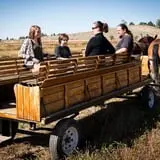 Halloween Land Corn Maze at Twin Oaks Farms photo