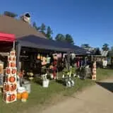 Mrs. Heather's Pumpkin Patch photo