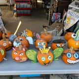 Mrs. Heather's Pumpkin Patch photo