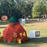 Mrs. Heather's Pumpkin Patch photo