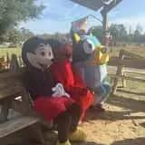 Mrs. Heather's Pumpkin Patch photo