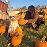 Mrs. Heather's Pumpkin Patch photo