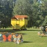 Mrs. Heather's Pumpkin Patch photo