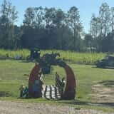 Mrs. Heather's Pumpkin Patch photo