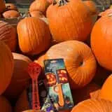 Mrs. Heather's Pumpkin Patch photo