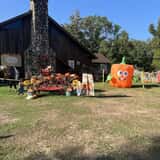 Mrs. Heather's Pumpkin Patch photo