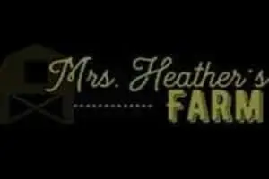 Mrs. Heather's Pumpkin Patch