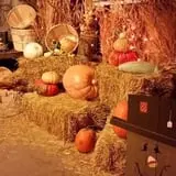 Cottage Lane Pumpkin Patch photo