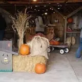 Cottage Lane Pumpkin Patch photo