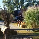 Cottage Lane Pumpkin Patch photo