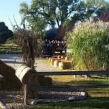 Cottage Lane Pumpkin Patch photo