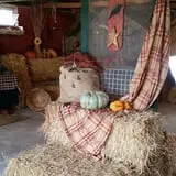 Cottage Lane Pumpkin Patch photo