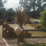 Cottage Lane Pumpkin Patch photo