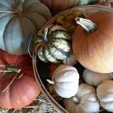 Cottage Lane Pumpkin Patch photo