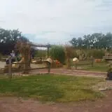 Cottage Lane Pumpkin Patch photo