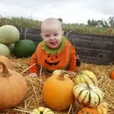 Cottage Lane Pumpkin Patch photo