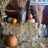 Cottage Lane Pumpkin Patch photo