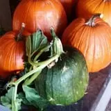 Cottage Lane Pumpkin Patch photo