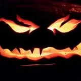 Cottage Lane Pumpkin Patch photo