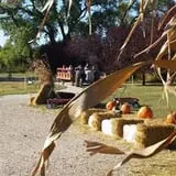 Cottage Lane Pumpkin Patch photo