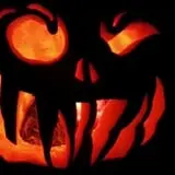Cottage Lane Pumpkin Patch photo