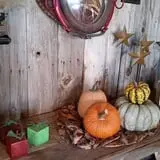 Cottage Lane Pumpkin Patch photo