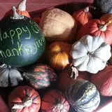 Cottage Lane Pumpkin Patch photo