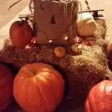 Cottage Lane Pumpkin Patch photo