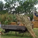 Cottage Lane Pumpkin Patch photo