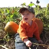 Schaake's Pumpkin Patch photo
