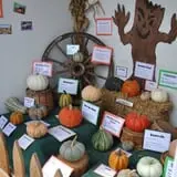 Schaake's Pumpkin Patch photo