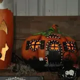 Schaake's Pumpkin Patch photo