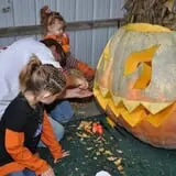 Schaake's Pumpkin Patch photo