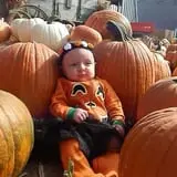 Schaake's Pumpkin Patch photo