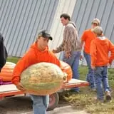 Schaake's Pumpkin Patch photo