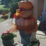 Schaake's Pumpkin Patch photo