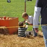 Schaake's Pumpkin Patch photo