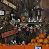 Schaake's Pumpkin Patch photo