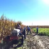 Schaake's Pumpkin Patch photo