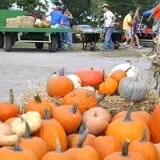Schaake's Pumpkin Patch photo