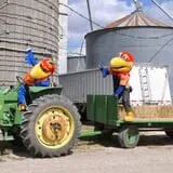 Schaake's Pumpkin Patch photo