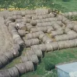 Schaake's Pumpkin Patch photo