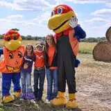 Schaake's Pumpkin Patch photo