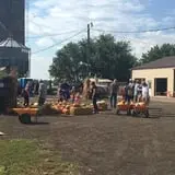 Schaake's Pumpkin Patch photo