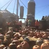 Schaake's Pumpkin Patch photo