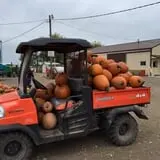 Schaake's Pumpkin Patch photo
